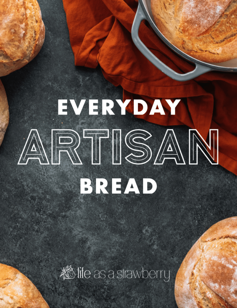 Everyday Artisan Bread.