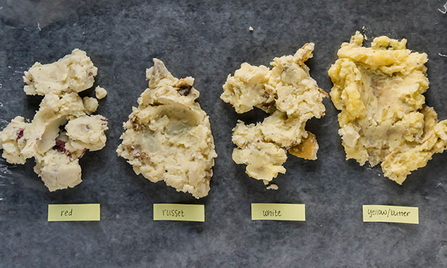 Four types of mashed potatoes, made with red, russet, white, and yellow potatoes, spread flat and arranged in a line on a dark table to show texture.