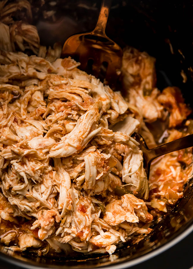 Two forks lifting shredded salsa chicken out of a black bowl.