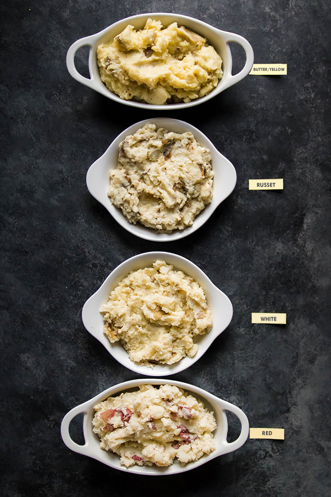 Four white serving dishes filled with mashed yellow, russet, white, and red potatoes, arranged in a row to show the difference in texture.